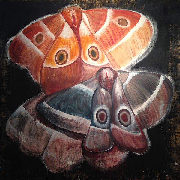 Emperor Moths - Preview