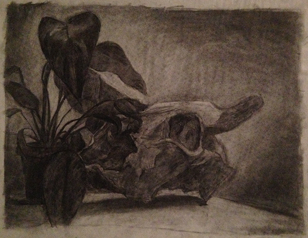 Still Life with Skull 2 - Preview